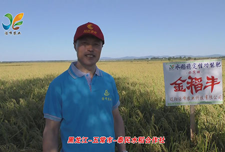 黑龍江-五常市-泰民水稻合作社-用戶回訪視頻